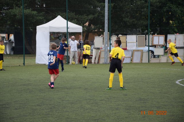 turt 23